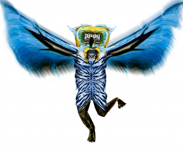 Creation of Parrot Man: Step 12